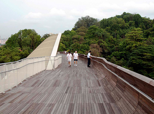 Henderson Waves Bridge