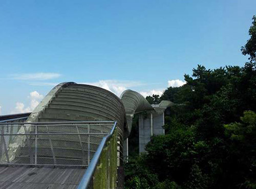 Henderson Waves Bridge